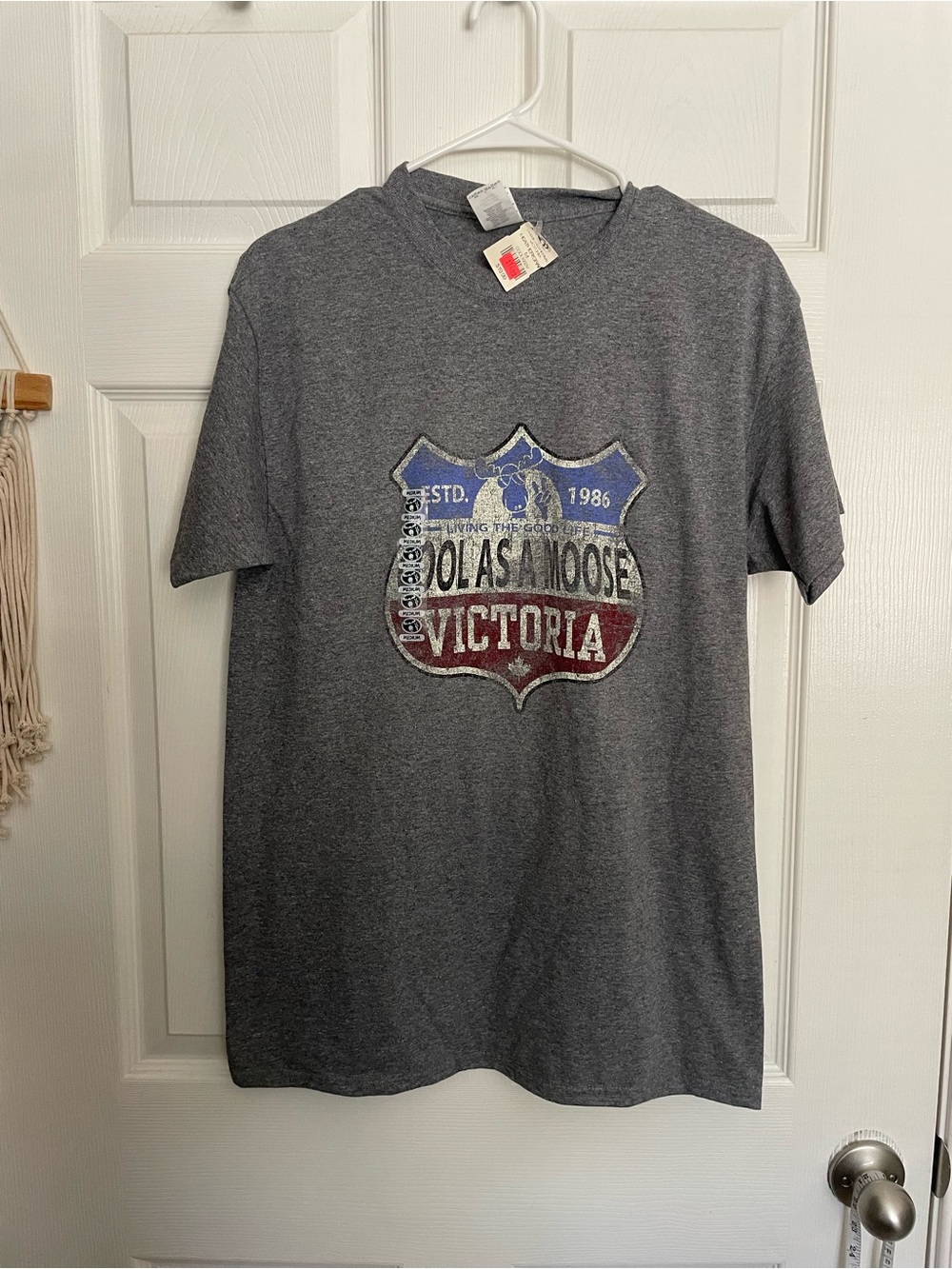NWT Gray Graphic Tee Cool As A Moose Victoria Estd. 1986 Size Medium